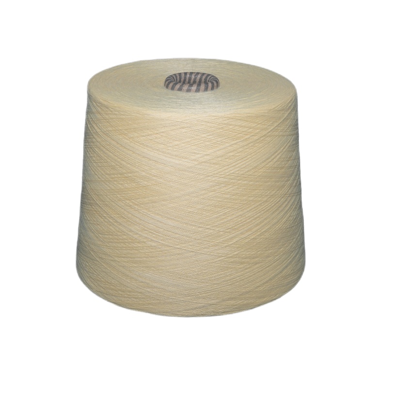 100% Polyester Yarns Ring Spun Yarn for Fabrics 32s/1 Polyester